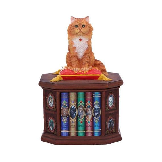 Mad About Cats Trinket Box | Nemesis Now Ornaments Deal Kent UK