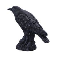 Raven Messenger Gothic Bird Figurine | Nemesis Now
