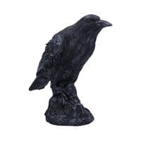 Raven Messenger Gothic Bird Figurine | Nemesis Now