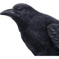 Raven Messenger Gothic Bird Figurine | Nemesis Now