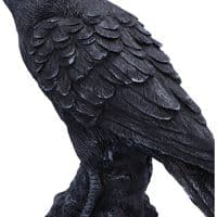 Raven Messenger Gothic Bird Figurine | Nemesis Now