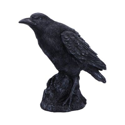 Raven Messenger Gothic Bird Figurine