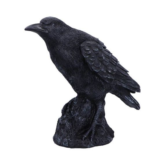 Raven Messenger Gothic Bird Figurine | Nemesis Now