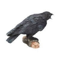 Raven's Call Gothic Bird Figurine