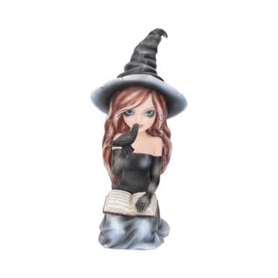 Regan The Dark Witch With Raven Ornament