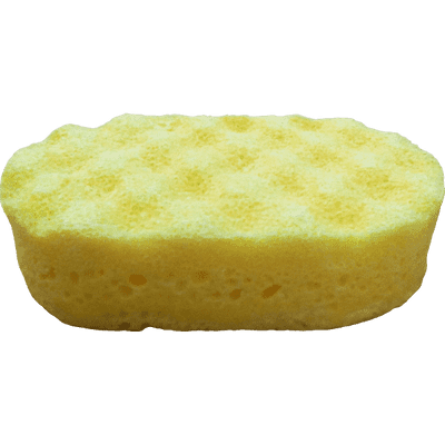 Reign (For Him) - Hugo Boss Bottled Aftershave Inspired Soap Sponge