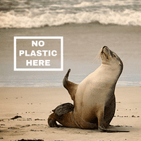 Lush Karma Soap Sponge | Shower Sponges In Deal Dover Canterbury Kent