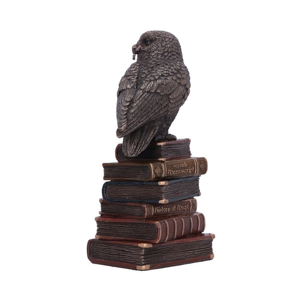Bronze Spellcraft Witches Familiar Owl on Book Figurine 14cm
