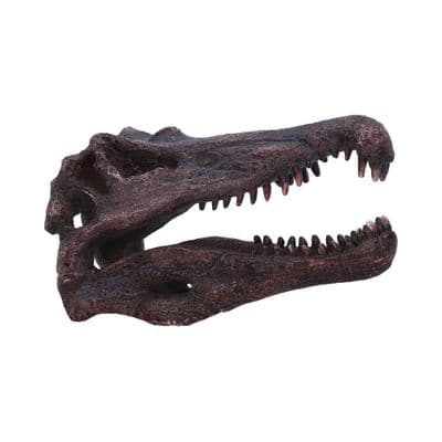Spinosaurus Egyptian Spine Lizard Dinosaur Skull