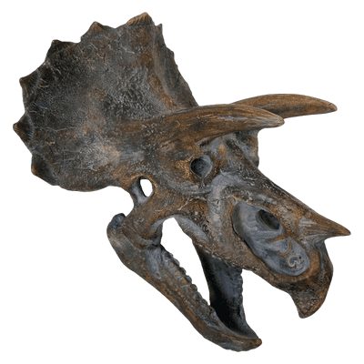 Triceratops Dinosaur Skull Head Ornament