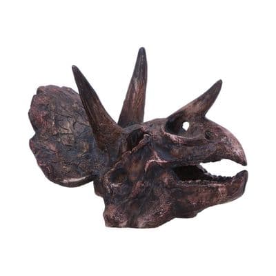 Triceratops Head Dinosaur Skull Ornament