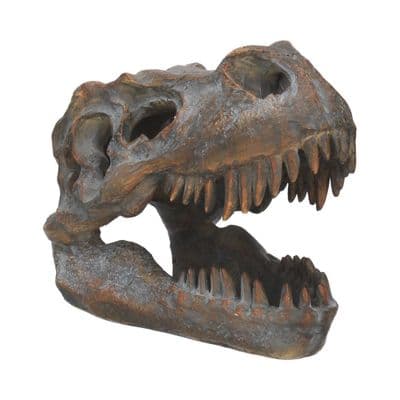 Tyrannosaurus Rex Dinosaur Skull Freestanding