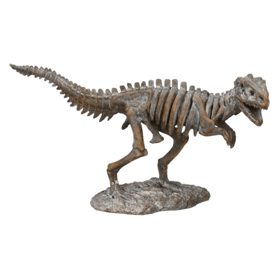 Tyrannosaurus Rex Skelton Dinosaur Ornament