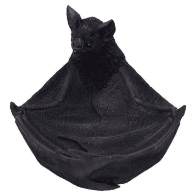 Winged Watcher Vampire Bat Trinket Holder Dish