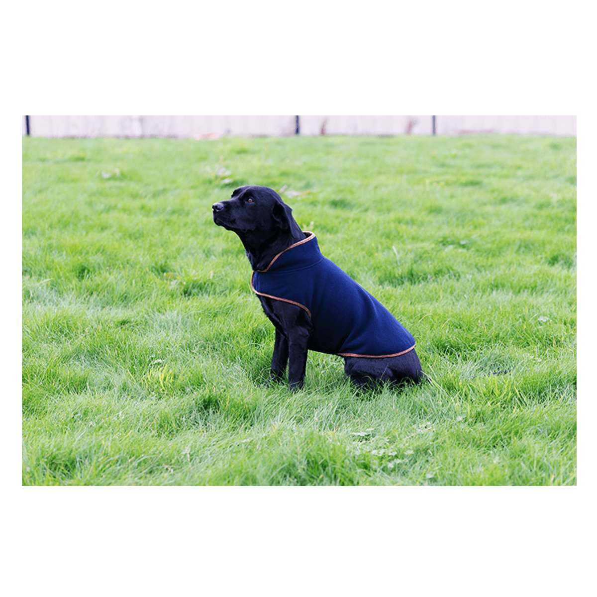 Jack Pyke Fleece Dog Coat Vest Navy
