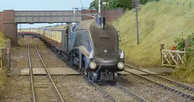 Locos & Rolling Stock