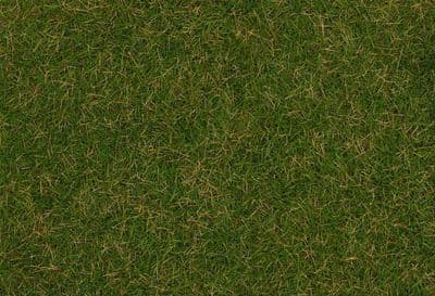 Summer Lawn Wild Grass Fibres 4mm (30g)