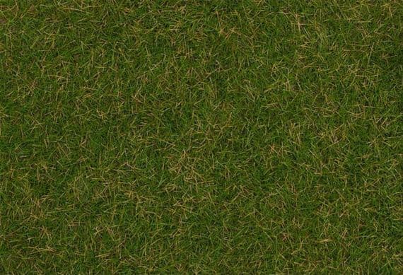 Summer Lawn Wild Grass Fibres 4mm (30g)
