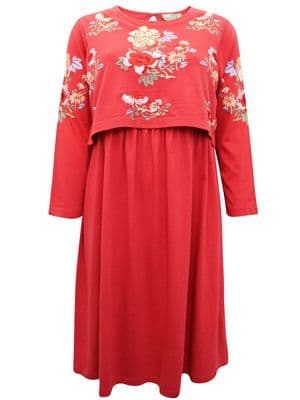 ASOS RED EMBROIDERED OCCASION NURSING DRESS NEW SIZE 6