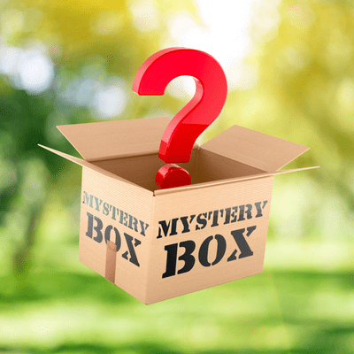 NEW! Mystery Box