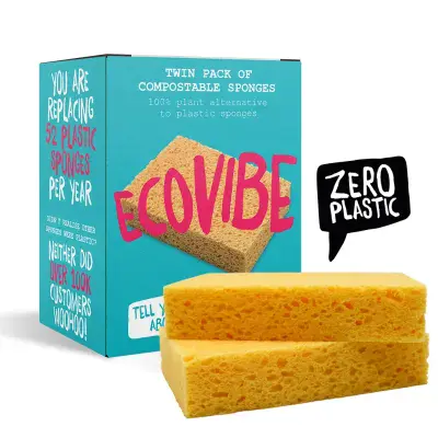 Compostable Sponges - Pack of 2 - Ecovibe