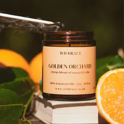 Golden Orchard Citrus Scented Candle - Wildrace