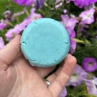 Hair Blocks Peppermint Solid Shampoo