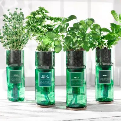 NEW! Hydro Herb Kits - Hydroherb Ltd