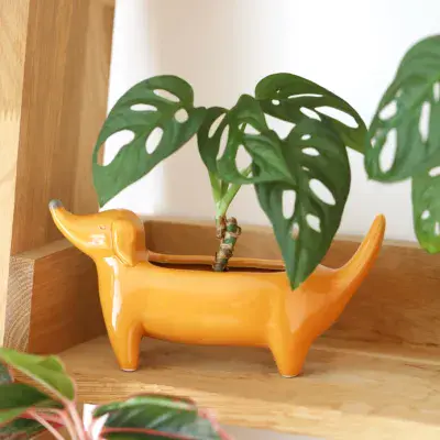 Orange Dachshund Standing Dog Planter - Lisa Angel