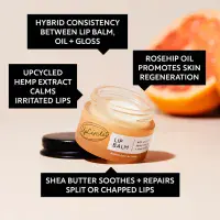 Upcircle Lip Balm - With Hemp Seed Oil & Shea Butter