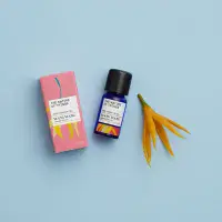 Ylang Ylang Essential Oil (Organic) 12ml - The Nature of Things