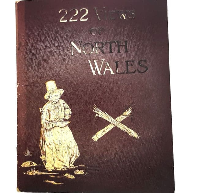 222 Photographic Views of North Wales, Mountain, Vale and Town