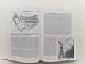 Building Ships on the North East Coast (Part 2. c1914-c1980) A Labour of Love, Risk and Pain Cla