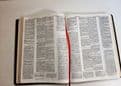 Dake's Annotated Reference Bible : The Holy Bible containing the Old and New Testaments of the Autho