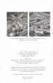 Lost Warriors - Seagrim and Pagani of Burma DAVIES, Philip