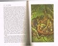 POE, Edgar Allan Tales and Poems of Edgar Allan Poe  (illustrated by Rusell Hoban)