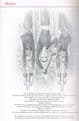 PRATCHETT. Terry and BRIGGS. Stephen Discworld Fools' Guild Yearbook and Diary 2001 (As New)