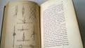 Sea-fishing as a Sport  Lamberton J H Young  1865
