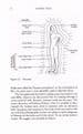 Tantric Yoga : The Royal Path to Raising Kundalini Power FROST, Yvonne & Gavin