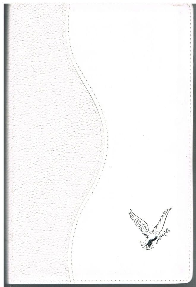 The Bible (St James Version) Containing Old and New Testaments, Self-pronouncing Red Letter edition