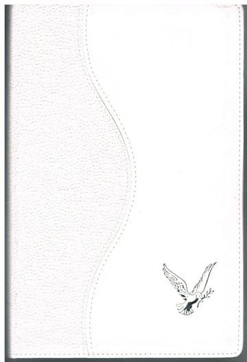 The Bible (St James Version) Containing Old and New Testaments, Self-pronouncing Red Letter edition