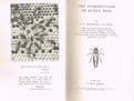 The Introduction of Queen Bees SNELGROVE, L. E.