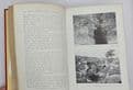 The Journal of the Fell & Rock Climbing Club of the Lake District. Volume 1: 1907 to 1909  SCANTLEBU