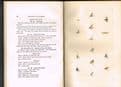 The Practical Fly-Fisher More Particularly for Graying or Umber   John Jackson  1899