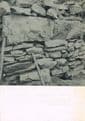 Trisov: A Celtic oppidum in South Bohemia BREN, Jiri (Editor)