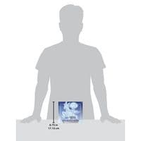 Pokemon Chilling Reign Elite Trainer Box (ETB)