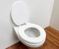 Padded Toilet Seat White - Cushioned Comfort Seat