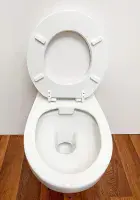Padded Toilet Seat White - Cushioned Comfort Seat