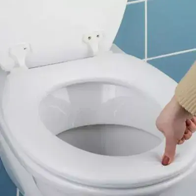 Padded Toilet Seats
