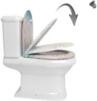 Sandy Beach Soft Close Toilet Seat